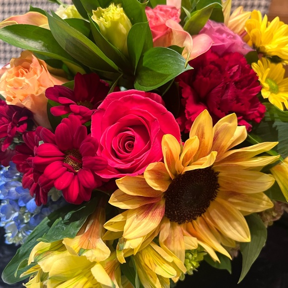 Meet your Posher, Alex - Picture 1 of 1